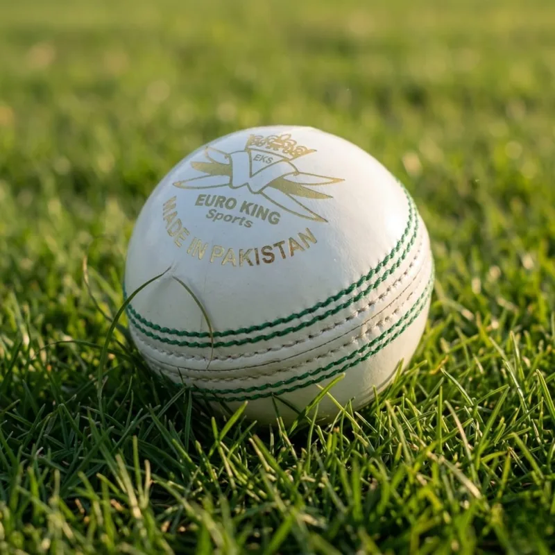 Cricket Hard Ball - Image 2